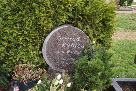 Kaster