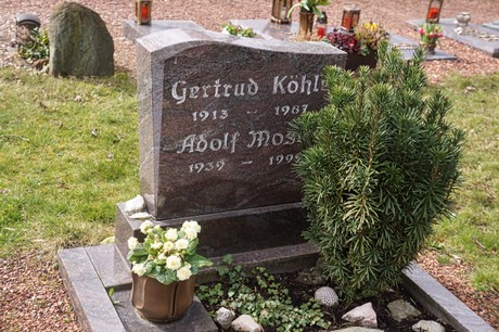 Kaster