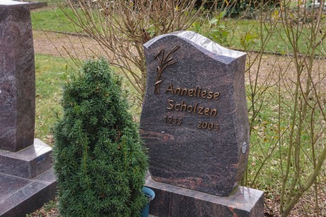 Kaster