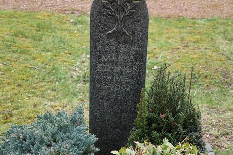 Kaster