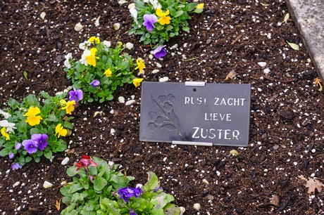 Kaster