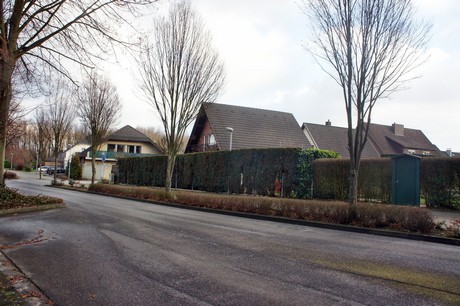 kaster