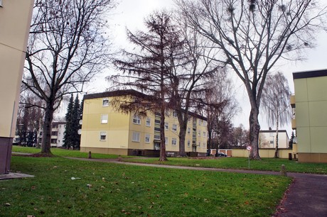 kaster
