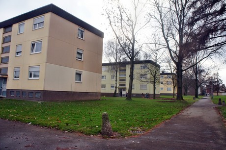 kaster