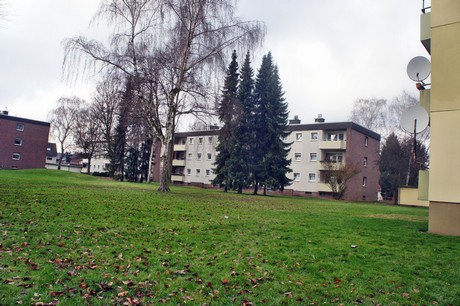 kaster