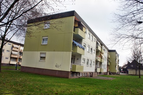 kaster