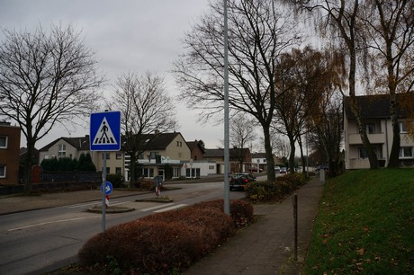 kaster