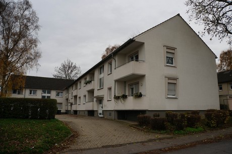kaster