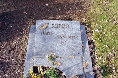 friedhof