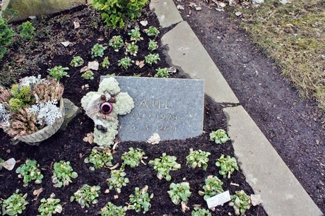 friedhof