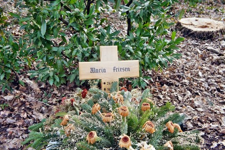 friedhof
