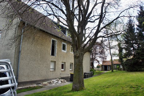 kendenich