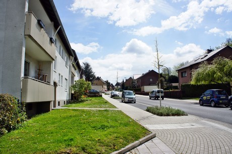 kendenich