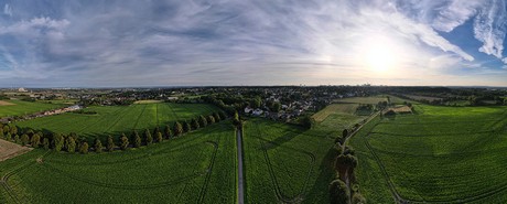 Kendenich