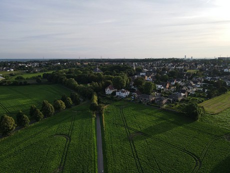 Kendenich