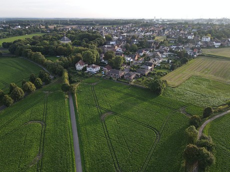 Kendenich