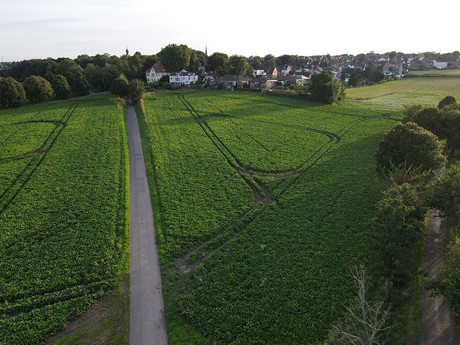 Kendenich