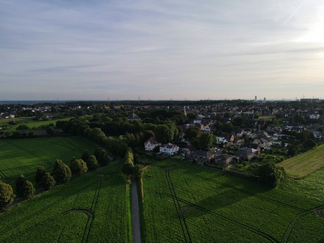 Kendenich