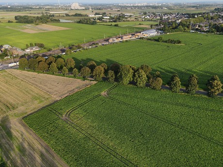 Kendenich