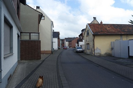 kendenich