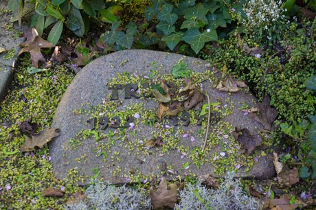 Kerpen
