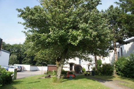 kerpen