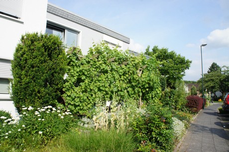 kerpen
