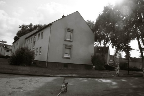 kerpen