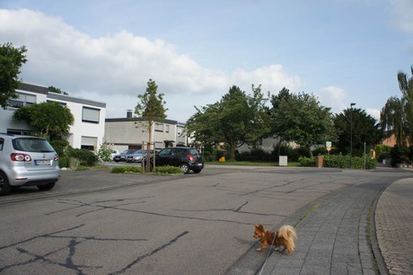 kerpen