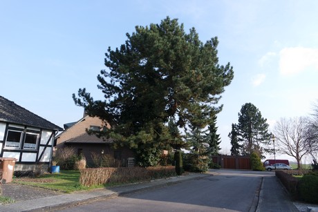 Kerpen
