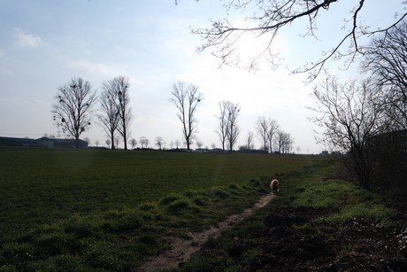 Kerpen