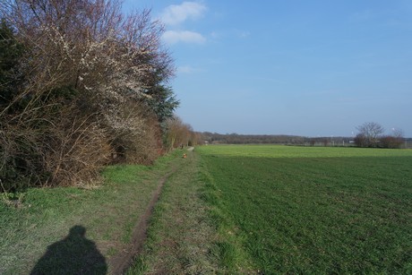 Kerpen