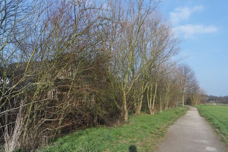 Kerpen