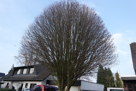 Kerpen
