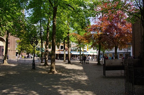 kevelar