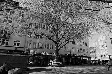 Kiel