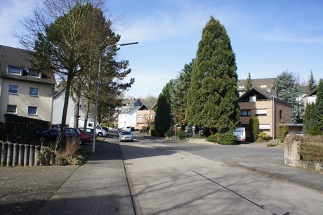 kierberg