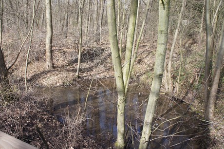kierberg