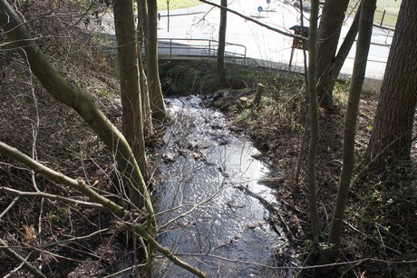 kierberg