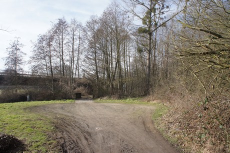 kierberg