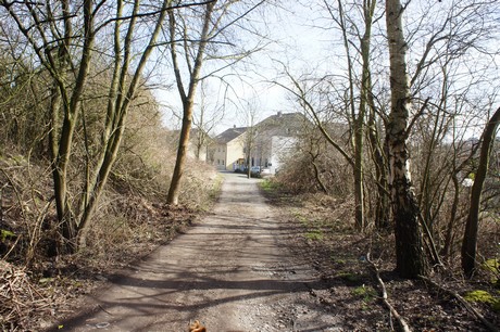 kierberg