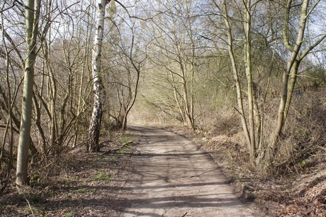 kierberg