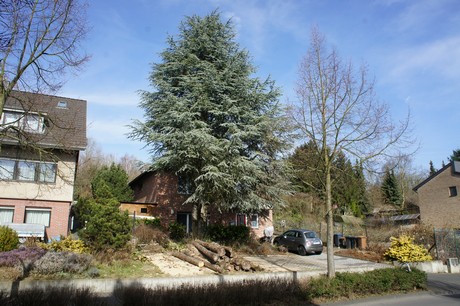 kierberg