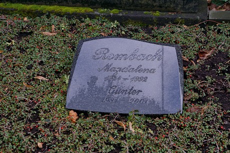 Kierdorf