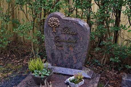 Kierdorf