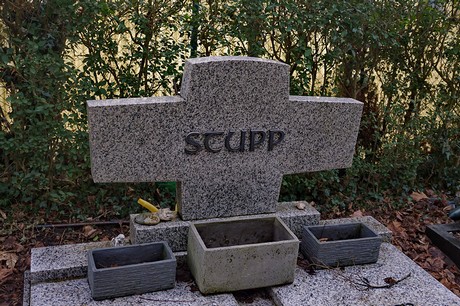 Kierdorf