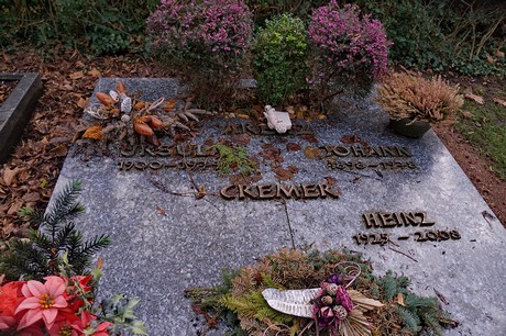 Kierdorf