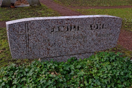 Kierdorf
