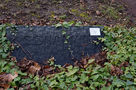 Kierdorf