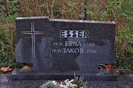 Kierdorf